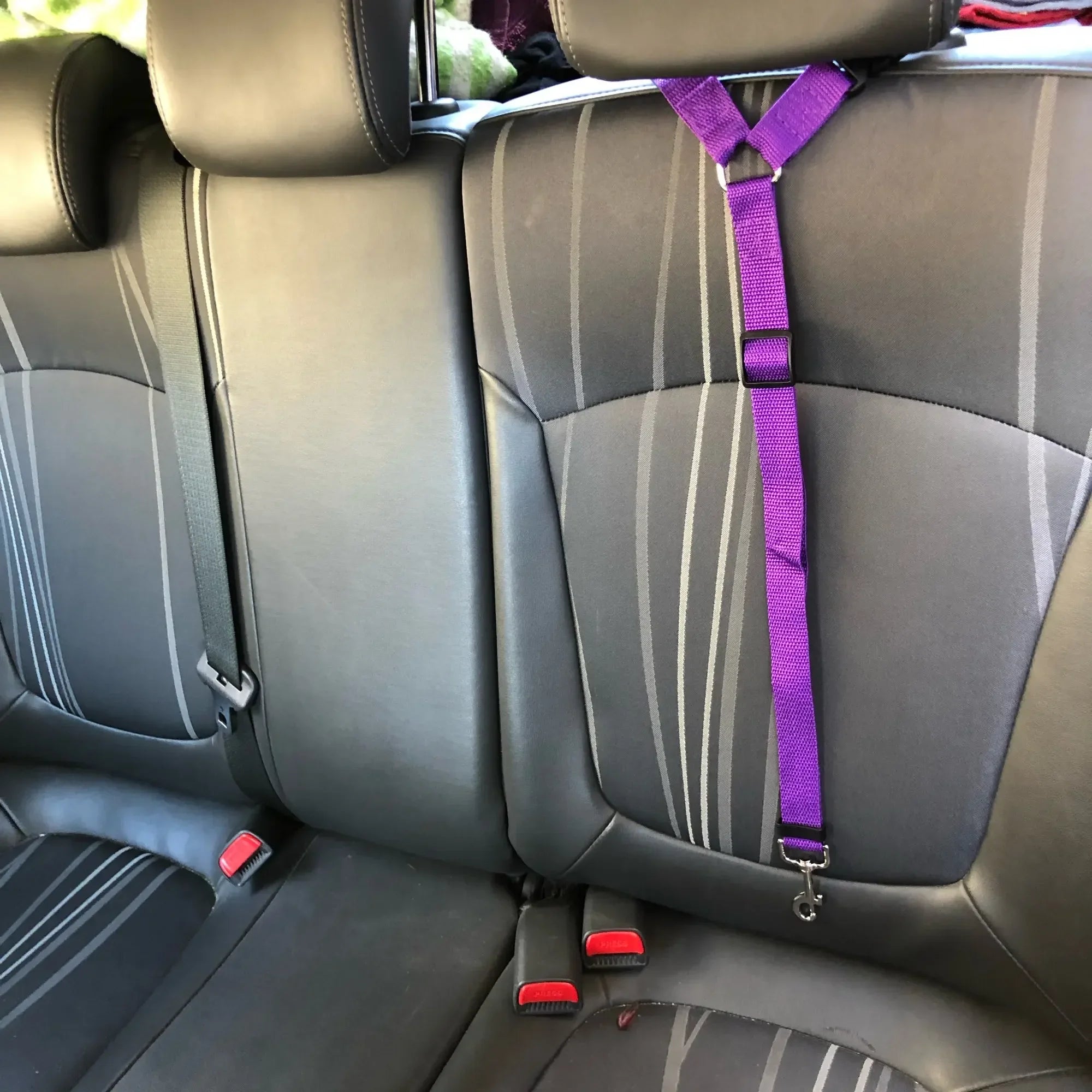 Adjustable Dog seat bet