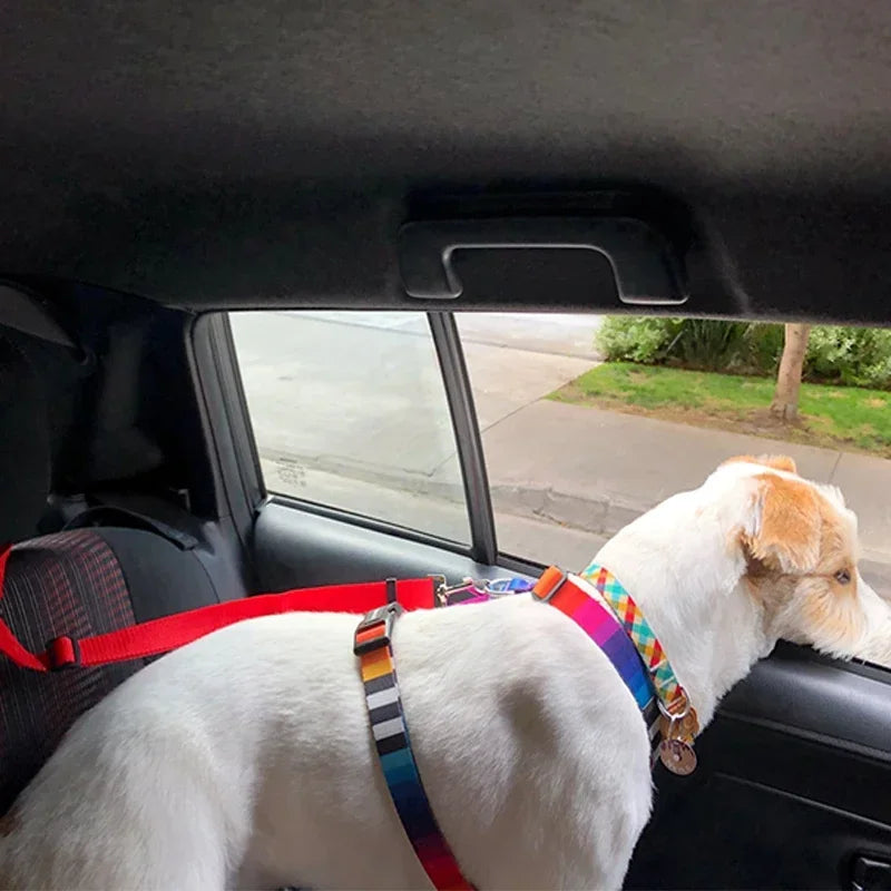 Adjustable Dog seat bet