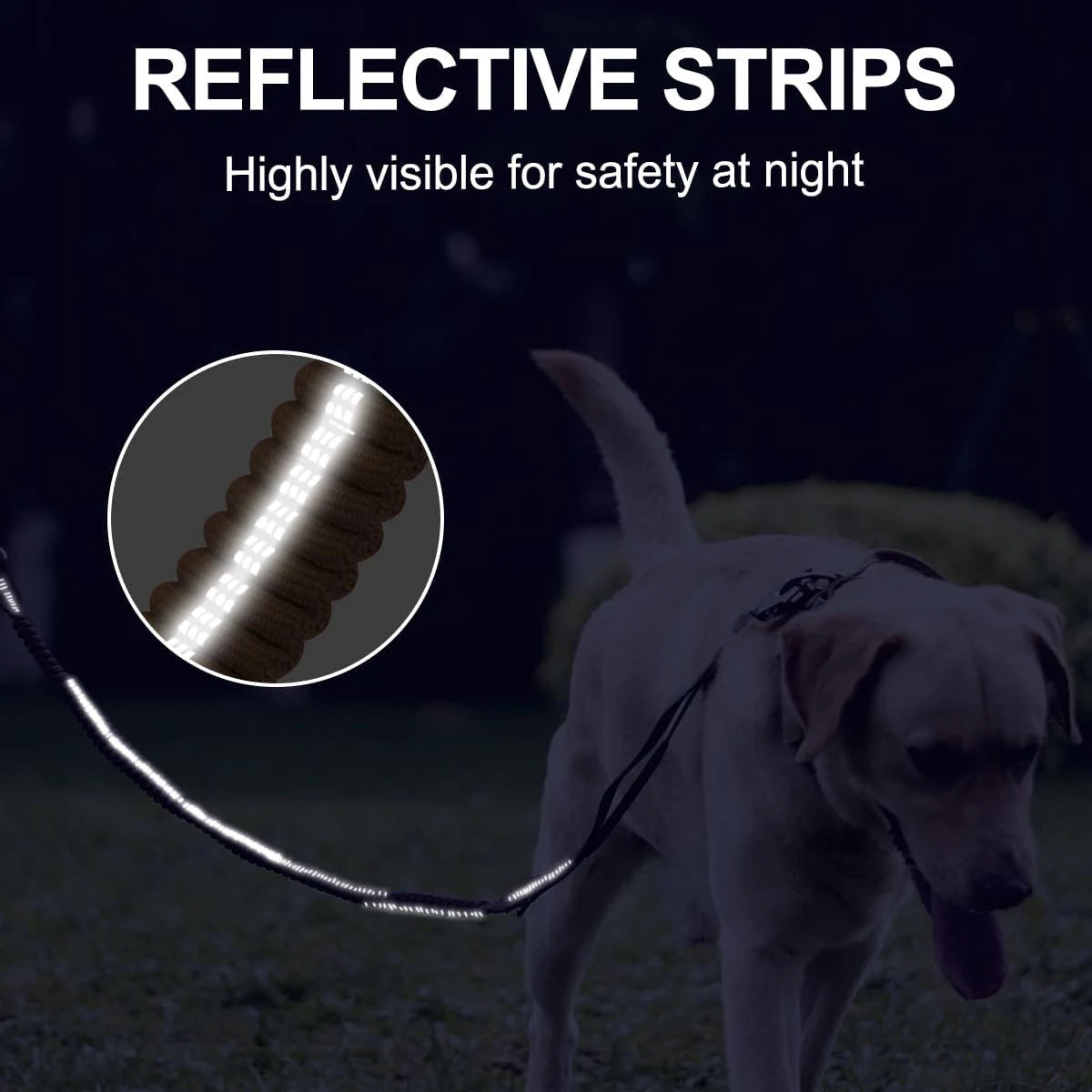 Reflective Shock Absorbing Dog car seat belt