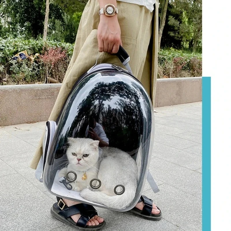 Transparent Pet Backpack
