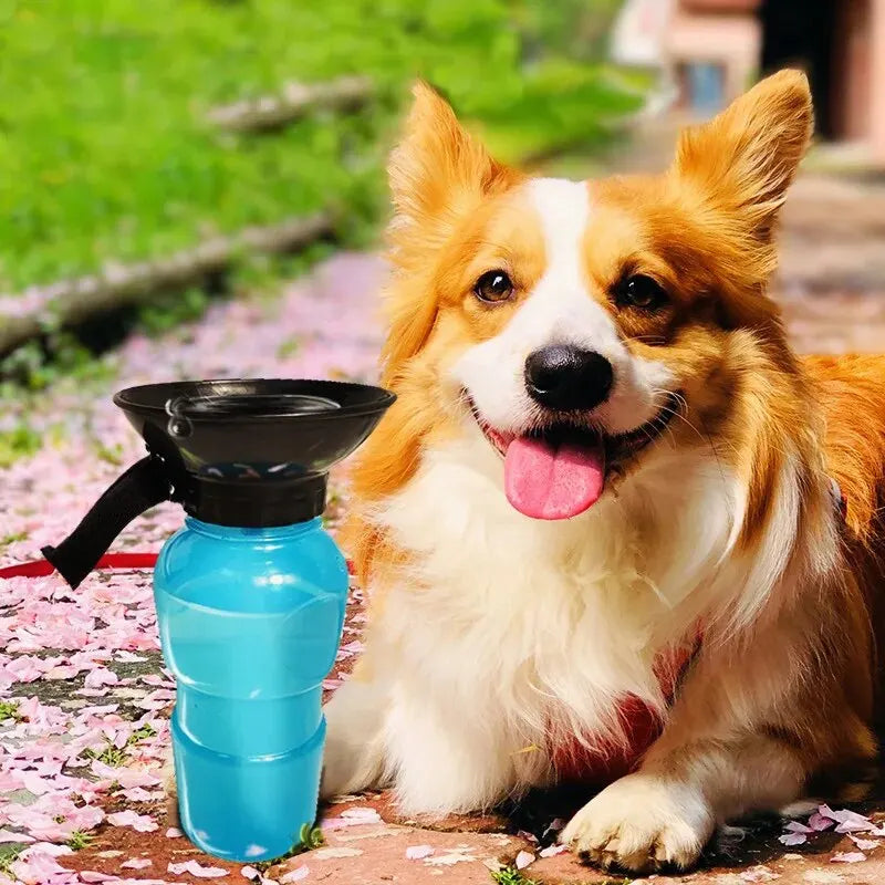 PawSip Bottle water