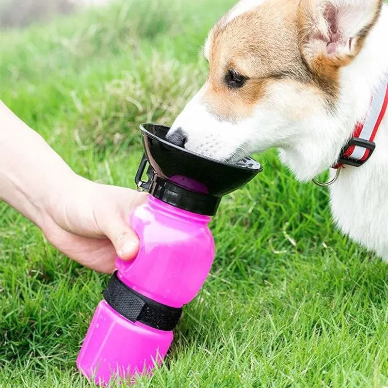 PawSip Bottle water